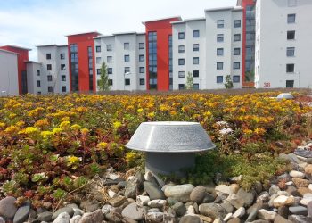 Renovierung eines Mehrfamilienhauses in Schwanebeck – Maßnahmen, Kosten und Praxisbeispiele