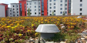 Renovierung eines Mehrfamilienhauses in Schwanebeck – Maßnahmen, Kosten und Praxisbeispiele